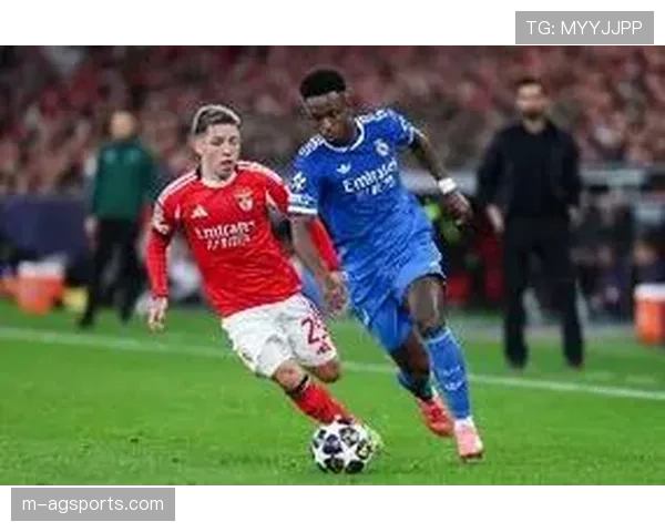 葡萄牙警方调查本菲卡球迷骚乱事件，数十人被拘留